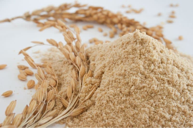 Competitive Rice Bran _ Wheat Bran